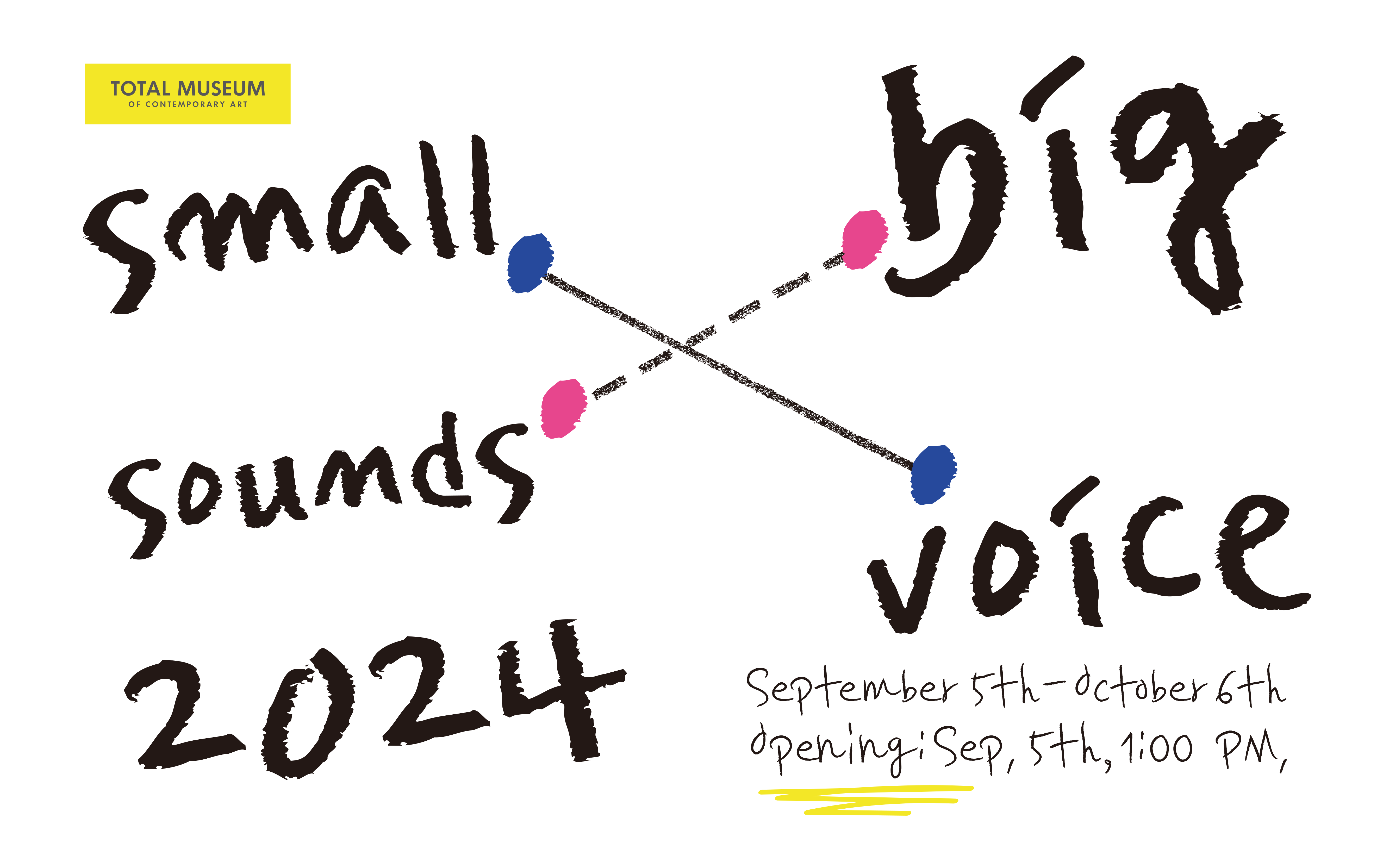 Small Voice Big Sound